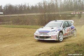 Raphael SPERRER - OMV Rallye Burgenland 2002 - 05